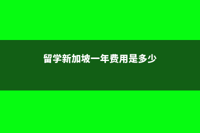 留学新加坡一年多少钱(留学新加坡一年费用是多少)