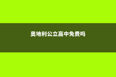 奥地利公立高中瓦萨巷高中(奥地利公立高中免费吗)