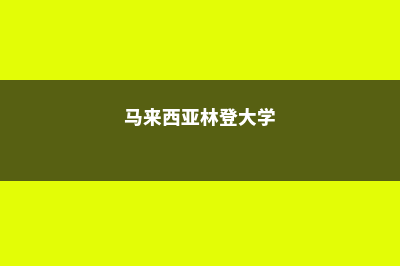 马来西亚林登大学优势显著(马来西亚林登大学)