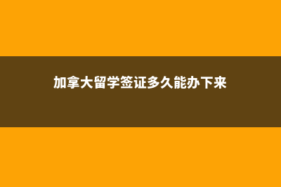 高中去美国留学费用需多少？(高中去美国留学需要什么条件)