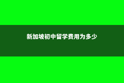 新加坡初中留学学费(新加坡初中留学费用为多少)