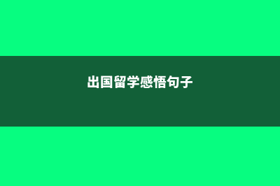 出国留学感悟(出国留学感悟句子)