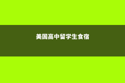 美国高中留学生的学费要准备多少(美国高中留学生食宿)