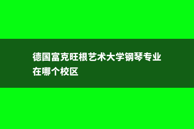 德国富克旺根艺术大学学校概况(德国富克旺根艺术大学钢琴专业在哪个校区)