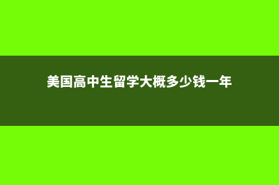 美国高中生留学体检检查哪些?(美国高中生留学大概多少钱一年)