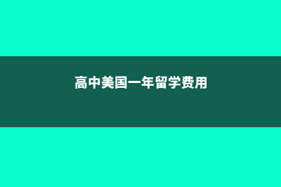 高一美国留学多少钱(高中美国一年留学费用)