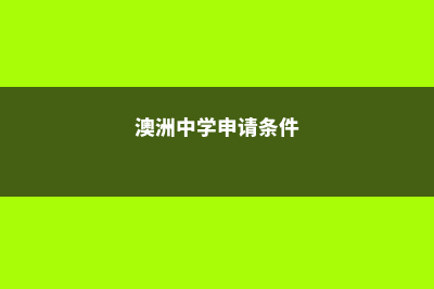 英国高中有哪些留学途径(英国高中有哪些课程)