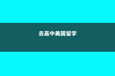 高中留学美国的费用多少(去高中美国留学)