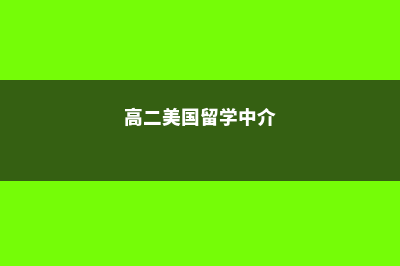 高二到美国留学(高二美国留学中介)