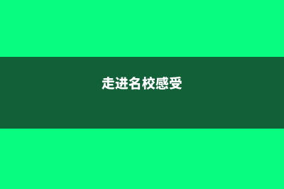高中去美国留学要多少钱?(高中去美国留学需要什么条件)