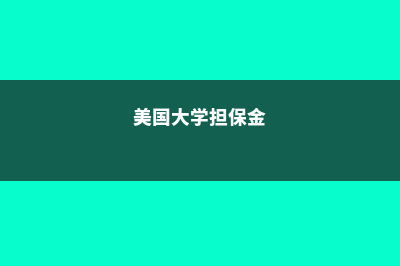 美国留学担保费(美国大学担保金)