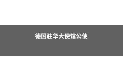 新加坡澳洲国际学校简介(新加坡澳洲国际学校和美国斯坦福哪个好)