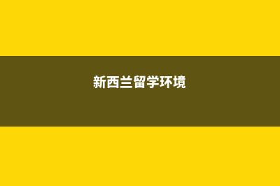 高一怎样留学美国(高中生留学去美国)