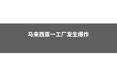 马来西亚第一工艺学院语言课程解读(马来西亚一工厂发生爆炸)