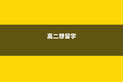 高二留学美国好吗(高二想留学)