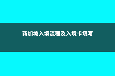 新加坡入境流程简化(新加坡入境流程及入境卡填写)