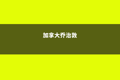 加拿大学院乔治布朗学院介绍(加拿大乔治敦)