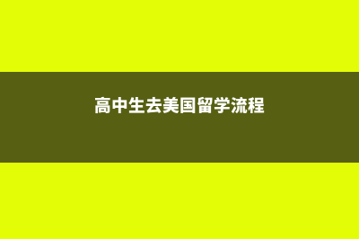 高中生去美国留学费用是多少？(高中生去美国留学流程)