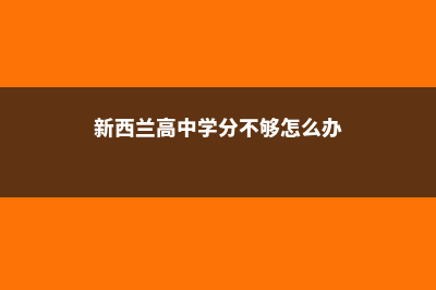 新西兰高中奖学金(新西兰高中学分不够怎么办)