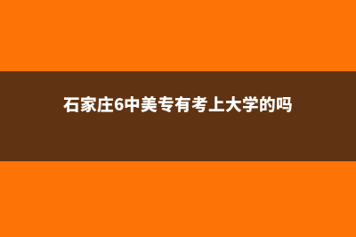 石家庄美国高中留学申请(石家庄6中美专有考上大学的吗)