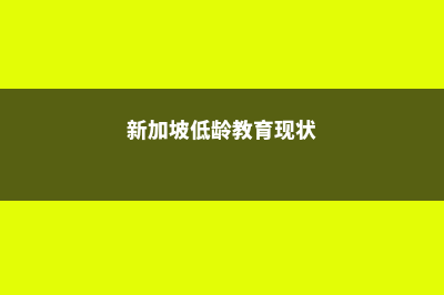 新加坡低龄教育优势分享(新加坡低龄教育现状)