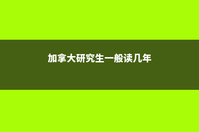 是去美国读高中还是在国内念高中呢(去美国读高中的利弊)