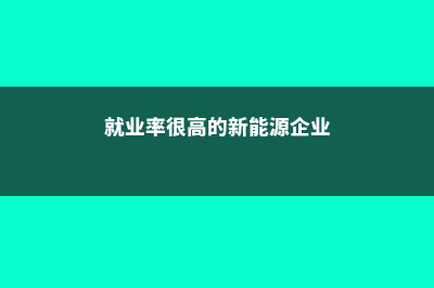 就业率很高的新加坡理工大学介绍(就业率很高的新能源企业)