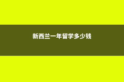 美国留学高中特色文书应该怎么写?(美国高中留学方案)