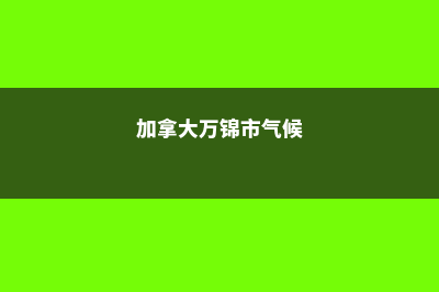 英国留学生会遇到哪些问题(英国留学生会遇到的困难)