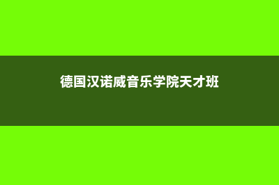 德国汉诺威音乐与戏剧学院院校概况(德国汉诺威音乐学院天才班)