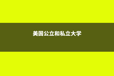 美国公立和私立高中有哪些不同?(美国公立和私立大学)