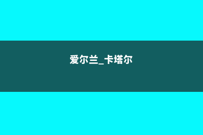 爱尔兰塔拉理工学院怎样(爱尔兰 卡塔尔)