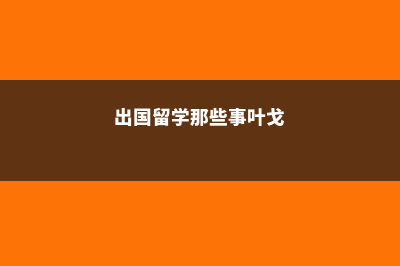 出国留学那些事(出国留学那些事叶戈)