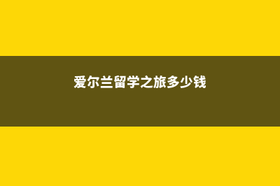 爱尔兰留学之旅之格里菲斯学院(爱尔兰留学之旅多少钱)