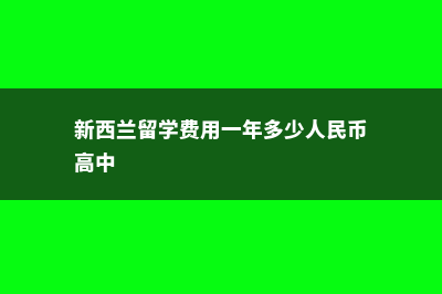 新西兰留学费用大起底(新西兰留学费用一年多少人民币高中)