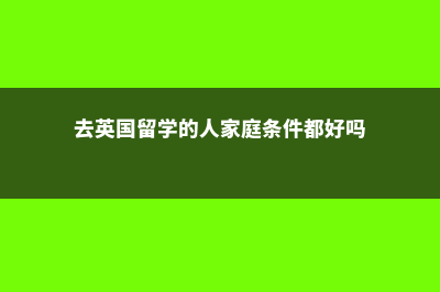 年轻人去英国留学需要哪些证件(去英国留学的人家庭条件都好吗)