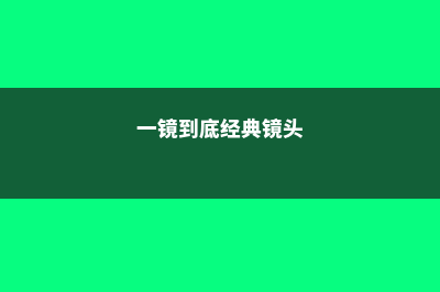 推荐一镜到底的电影俄罗斯方舟(一镜到底经典镜头)