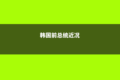 韩国又查前总统(韩国前总统近况)