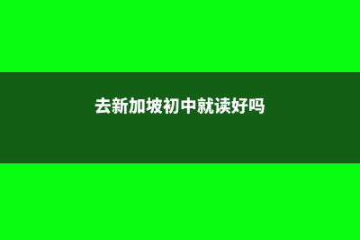 去新加坡初中就可以读大学(去新加坡初中就读好吗)