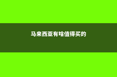 马来西亚超性价比1年制硕士(马来西亚有啥值得买的)