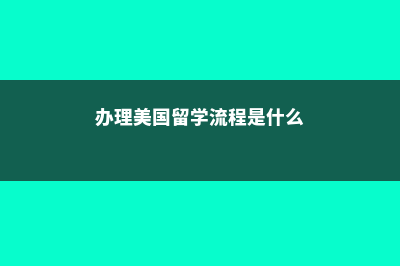 办理美国留学流程(办理美国留学流程是什么)