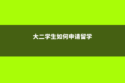 国内大二学生如何转学美国本科(大二学生如何申请留学)