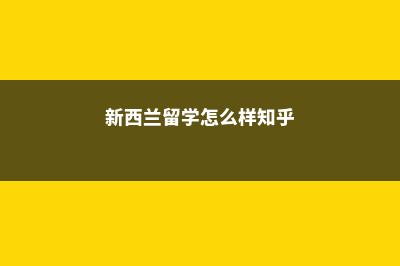 新西兰留学怎么快速融入交到朋友(新西兰留学怎么样知乎)