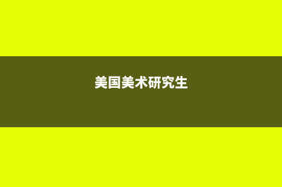 美国美术硕士专业留学(美国美术研究生)