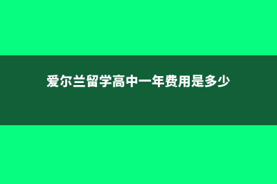 爱尔兰留学 高中(爱尔兰留学高中一年费用是多少)