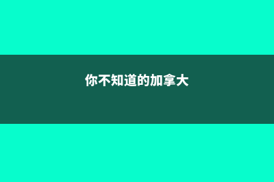 你不知道的加拿大大学课堂模式(你不知道的加拿大)