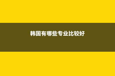 在韩国有哪些专业可以中文授课呢(韩国有哪些专业比较好)
