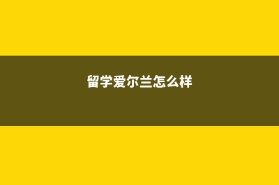 留学爱尔兰要怎么勤工俭学?(留学爱尔兰怎么样)