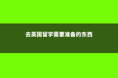 新加坡留学对外汉语教学硕士分享(新加坡 留学)