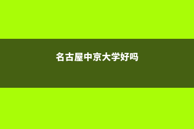 日本中京大学怎么样(名古屋中京大学好吗)